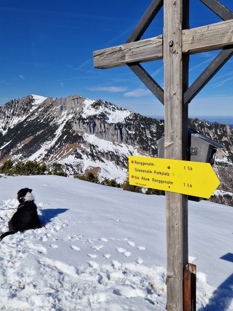 Hundebetreuung in Kitznbühel - Unterwegs