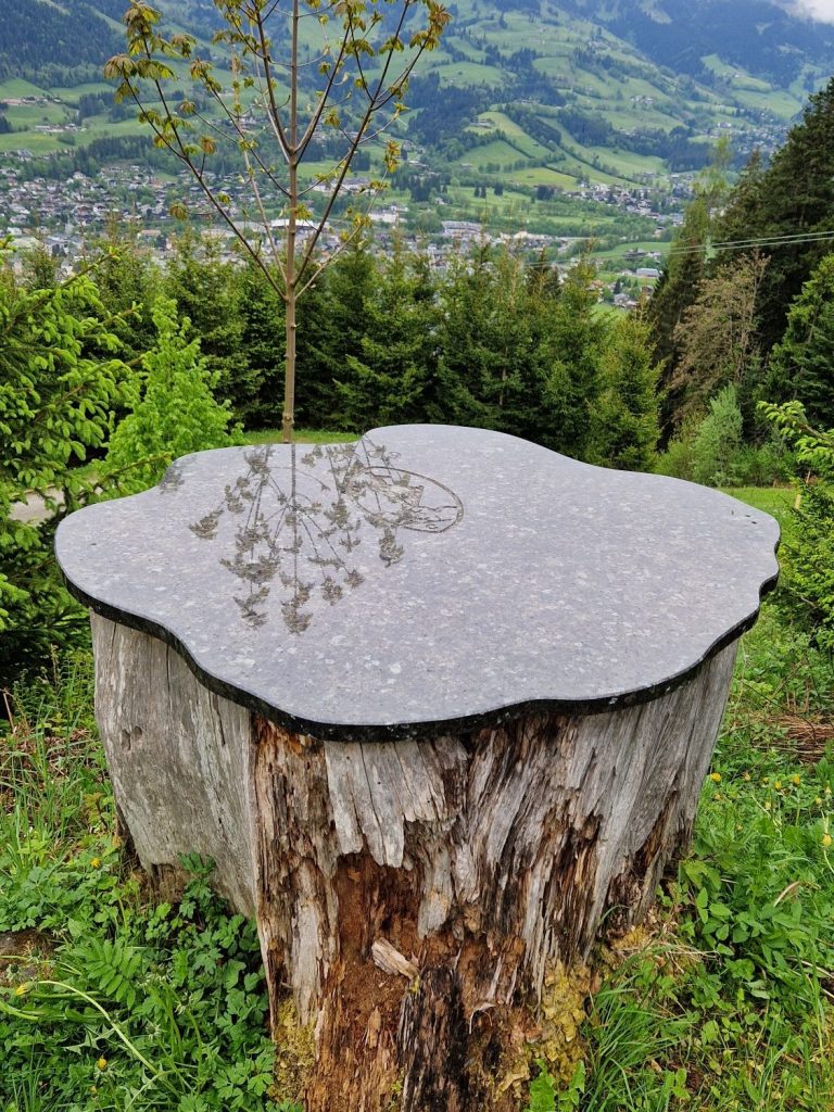 Holztisch auf Baumstumpf mit spiegelnder Oberfläche und Blick auf grüne Landschaft nach Kitzbühel