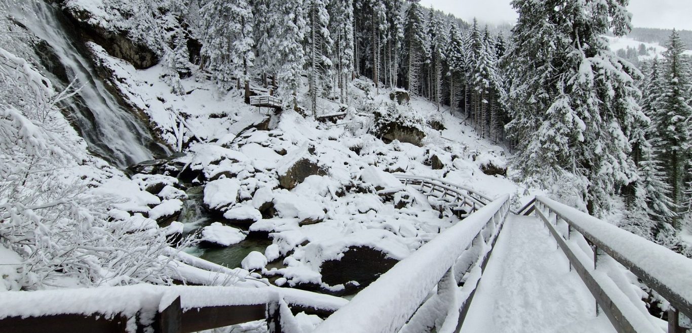 Schneebedeckte Landschaft mit Bäumen und einem gefrorenen Bach im Vordergrund.