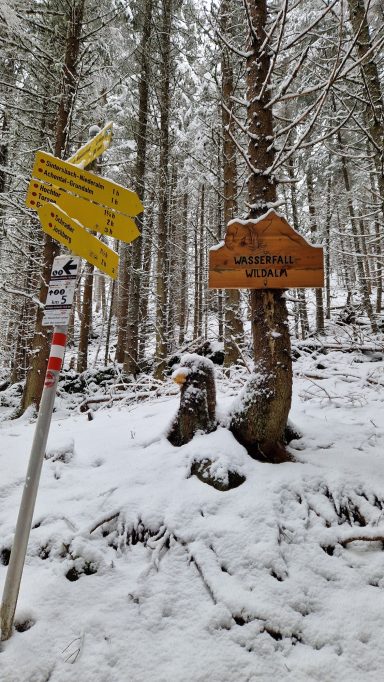 Schneebedeckter Wald mit Wegweisern und einem Holzschild.