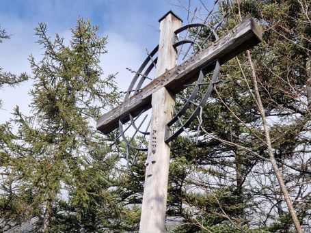 Hundebetreuung in Kitzbühel - unterwegs im Wald